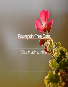 free powerpoint